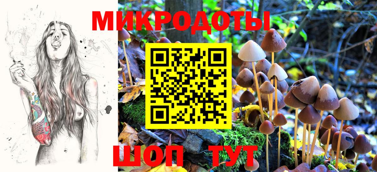 Галлюциногенные грибы Cubensis Железногорск