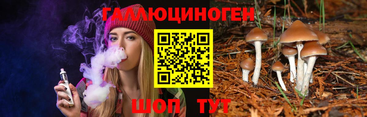 Железногорск  Галлюциногенные грибы GOLDEN TEACHER  Вход с VPN 